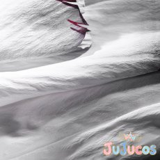 画像9: アーミヤ(AMIYA)　コスプレ衣装　アークナイツ　コスチューム　JUJUcosplay (9)