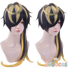 画像1: 四十物十四　コスプレウィッグ　ヒプノシスマイク　コスプレ鬘　JUJUcosplay (1)