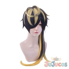 画像2: 四十物十四　コスプレウィッグ　ヒプノシスマイク　コスプレ鬘　JUJUcosplay (2)