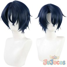 画像1: 東の国　シノ　Shino　コスプレウィッグ　魔法使いの約束　コスプレ鬘　JUJUcosplay (1)