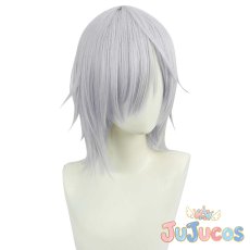 画像3: VTuber　Fulgur Ovid(ファルガー・オーヴィド)　コスプレウィッグ　バーチャルYouTuber　コスプレ鬘　JUJUcosplay (3)