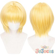 画像1: クラピカ　コスプレウィッグ　HUNTER×HUNTER　コスプレ鬘　JUJUcosplay (1)