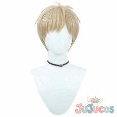 画像2: ライオス　コスプレウィッグ　ダンジョン飯　コスプレ鬘　JUJUcosplay (2)