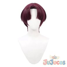 画像2: 蘇枋隼飛　コスプレウィッグ　WIND BREAKER（ウィンドブレイカー）　コスプレ鬘　JUJUcosplay (2)