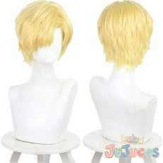 画像1: ラファウ　コスプレウィッグ　チ。ー地球の運動についてー　コスプレ鬘　JUJUcosplay (1)