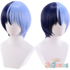 画像1: 青柳冬弥　コスプレウィッグ　プロジェクトセカイ カラフルステージ！ feat. 初音ミク　コスプレ鬘　JUJUcosplay (1)