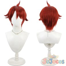 画像1: 兎山悟　コスプレウィッグ　わんだふるぷりきゅあ!　コスプレ鬘　JUJUcosplay (1)