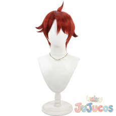 画像2: 兎山悟　コスプレウィッグ　わんだふるぷりきゅあ!　コスプレ鬘　JUJUcosplay (2)