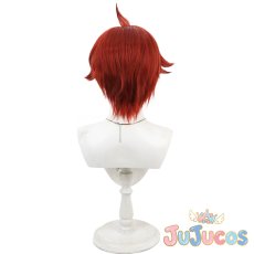 画像3: 兎山悟　コスプレウィッグ　わんだふるぷりきゅあ!　コスプレ鬘　JUJUcosplay (3)