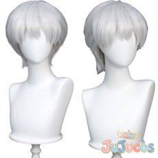 画像1: 西園寺羽京　コスプレウィッグ　Dr.STONE　コスプレ鬘　JUJUcosplay (1)