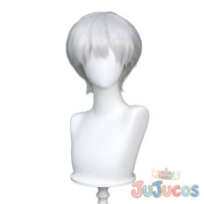 画像2: 西園寺羽京　コスプレウィッグ　Dr.STONE　コスプレ鬘　JUJUcosplay (2)