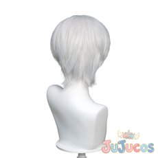 画像5: 西園寺羽京　コスプレウィッグ　Dr.STONE　コスプレ鬘　JUJUcosplay (5)