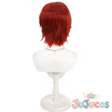 画像5: リドル・ローズハート　夢の反逆者　コスプレウィッグ　ツイステッドワンダーランド　コスプレ鬘　JUJUcosplay (5)