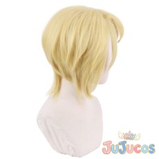 画像5: ルイス・ジェームズ・モリアーティ　コスプレウィッグ　憂国のモリアーティ　コスプレ鬘　JUJUcosplay (5)