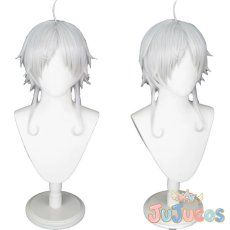 画像1: シルフィエット　コスプレウィッグ　無職転生 ?異世界行ったら本気だす?　コスプレ鬘　JUJUcosplay (1)
