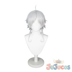 画像2: シルフィエット　コスプレウィッグ　無職転生 ?異世界行ったら本気だす?　コスプレ鬘　JUJUcosplay (2)