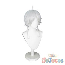 画像3: シルフィエット　コスプレウィッグ　無職転生 ?異世界行ったら本気だす?　コスプレ鬘　JUJUcosplay (3)