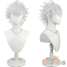 画像1: 厄師寺猛丸　コスプレウィッグ　HUNDRED LINE -最終防衛学園-（ハンドレッドライン）　コスプレ鬘　JUJUcosplay (1)