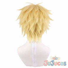 画像5: 碓氷拓海　コスプレウィッグ　会長はメイド様!　コスプレ鬘　JUJUcosplay (5)