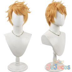 画像1: グラン　コスプレウィッグ　グランブルーファンタジー　コスプレ鬘　JUJUcosplay (1)