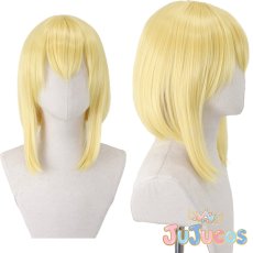 画像1: ステラ・ルーシェ　コスプレウィッグ　機動戦士ガンダムSEED DESTINY　コスプレ鬘　JUJUcosplay (1)