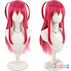 画像1: FGO　エリザベートバートリー(星5)　コスプレウィッグ　Fate/Grand Order　コスプレ鬘　JUJUcosplay (1)