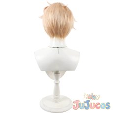 画像5: 浅葱　コスプレウィッグ　合コンに行ったら女がいなかった話　コスプレ鬘　JUJUcosplay (5)