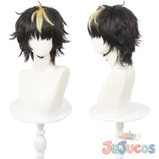 画像1: 清蔵タイゾウ　コスプレウィッグ　カードファイト!! ヴァンガード　コスプレ鬘　JUJUcosplay (1)