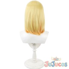 画像4: アヤカ・サジョウ　コスプレウィッグ　Fate/strange Fake　コスプレ鬘　JUJUcosplay (4)