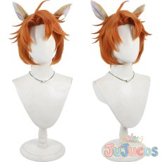 画像1: チェカ　コスプレウィッグ　ツイステッドワンダーランド　コスプレ鬘　JUJUcosplay (1)