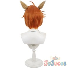 画像5: チェカ　コスプレウィッグ　ツイステッドワンダーランド　コスプレ鬘　JUJUcosplay (5)