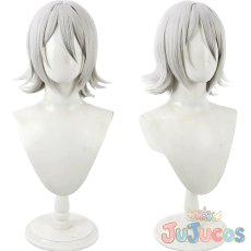 画像1: FGO　蘭陵王　英霊祝装：蘭陵王　コスプレウィッグ　Fate/Grand Order　コスプレ鬘　JUJUcosplay (1)