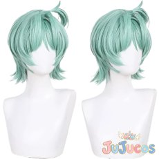 画像1: ロクシー　コスプレウィッグ　ゼンレスゾーンゼロ　コスプレ鬘　JUJUcosplay (1)
