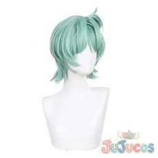画像3: ロクシー　コスプレウィッグ　ゼンレスゾーンゼロ　コスプレ鬘　JUJUcosplay (3)