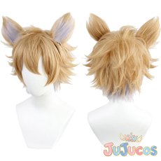 画像1: ツイステ　サバナクロー寮　2年生　ラギー・ブッチ　コスプレウィッグ　ツイステッドワンダーランド　コスプレ鬘　JUJUcosplay (1)